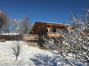 Chalet Cyclamens- 65m2 plein centre des Carroz - WIFI & parking!